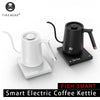 Fish Smart Electric Coffee Kettle Gooseneck